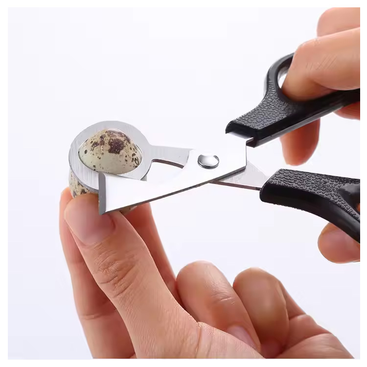 Ucuz Mətbəx Tool Göyərçin Quil Quş Yumurta Clipper kəsici qayçı